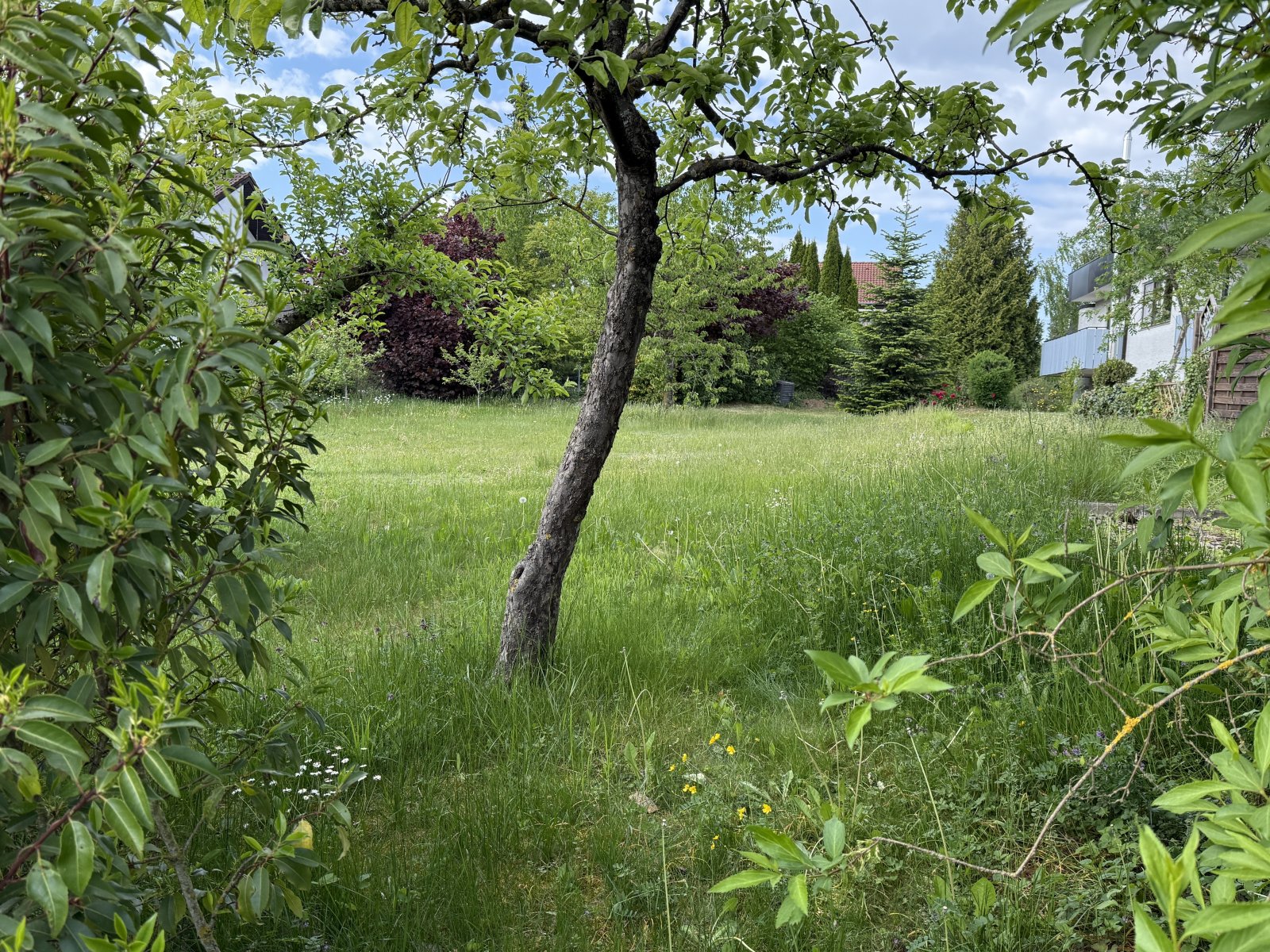 + Baugrundstück in Bernstadt +