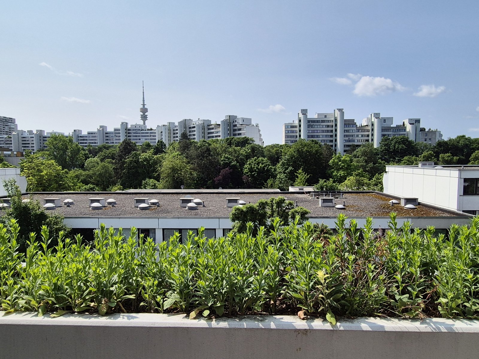 Blick vom Balkon 3. OG Blick vom Balkon 3. OG