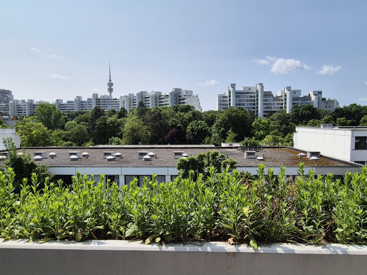 Blick vom Balkon 3. OG Blick vom Balkon 3. OG