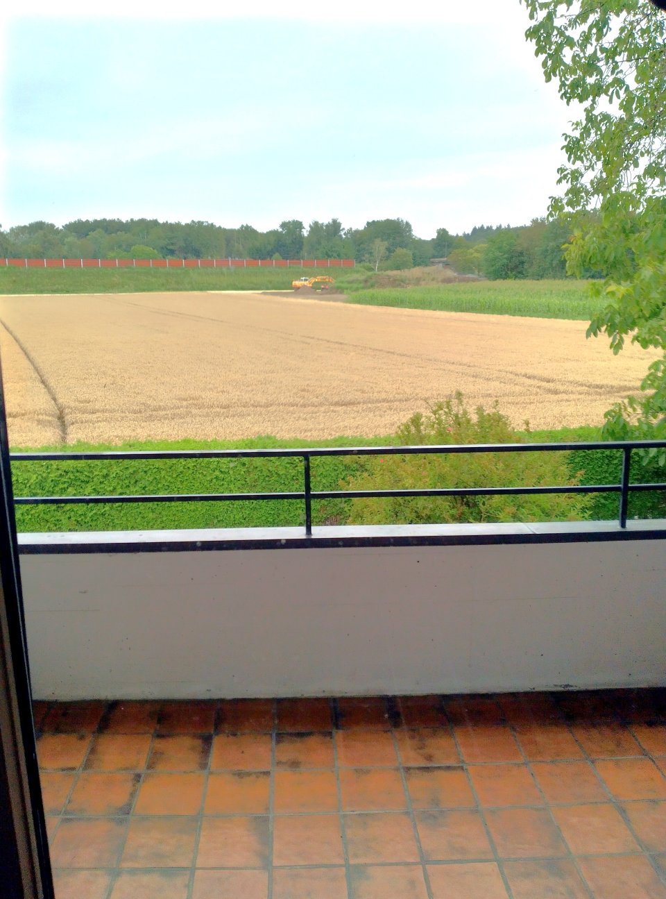 Blick vom Balkon