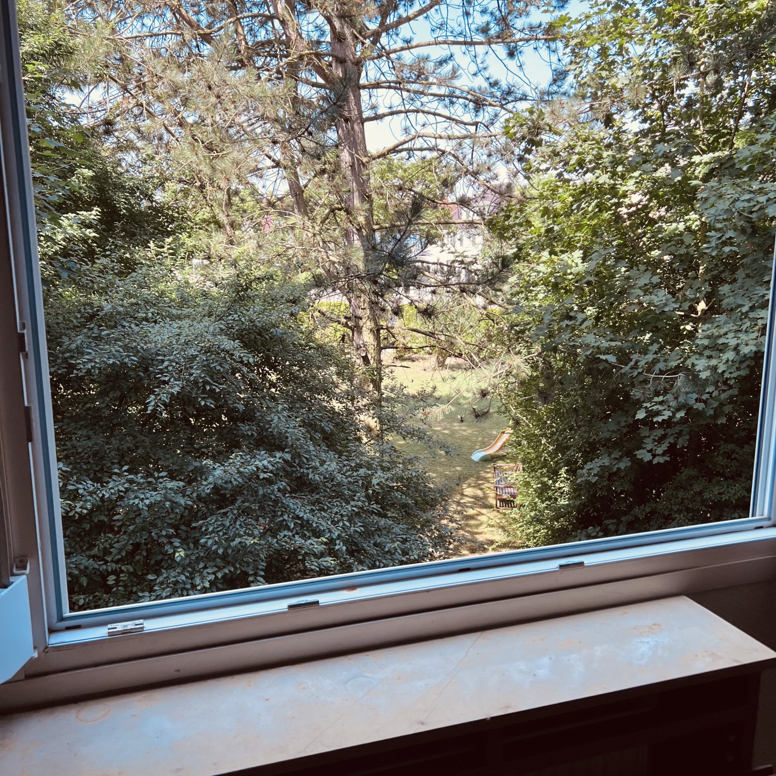 Blick in Garten